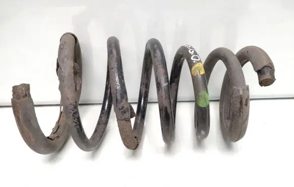 Rear coil spring
