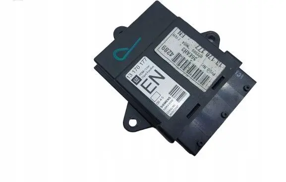 Opel Signum Door control unit/module 13170177
