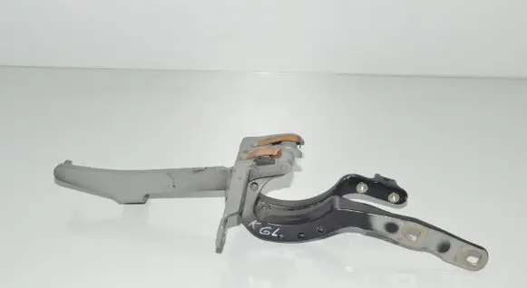 Tailgate/trunk/boot hinge