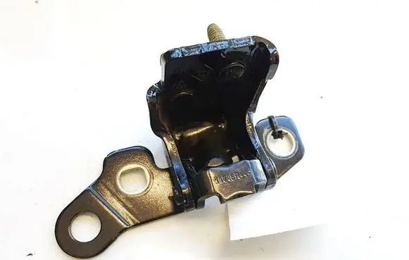 Renault Zoe Rear door lower hinge