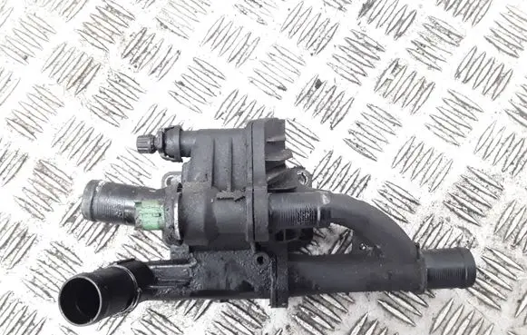 Thermostat/thermostat housing