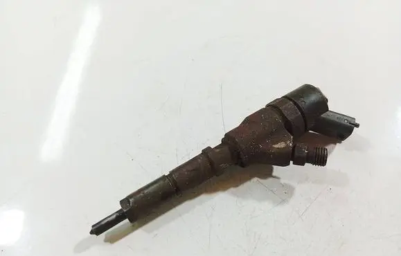 Peugeot 307 Fuel injector 9641742880 0445110076