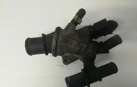 Fiat Multipla Engine coolant pipe/hose