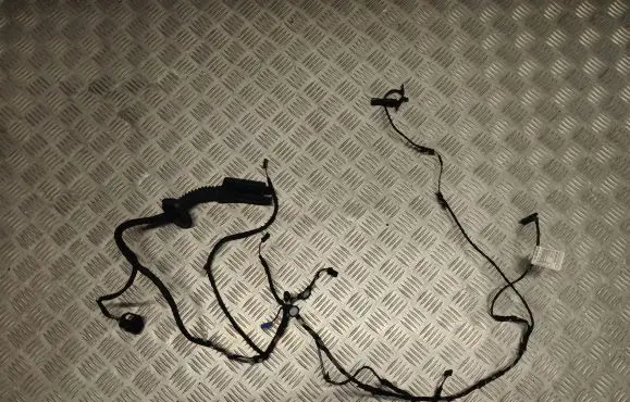 BMW 1 F20 F21 Front door wiring loom 9310996