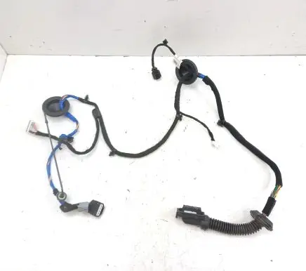 Rear door wiring loom