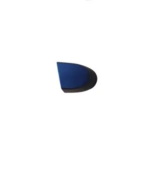 BMW 3 E90 E91 Front door handle cover E9xR1