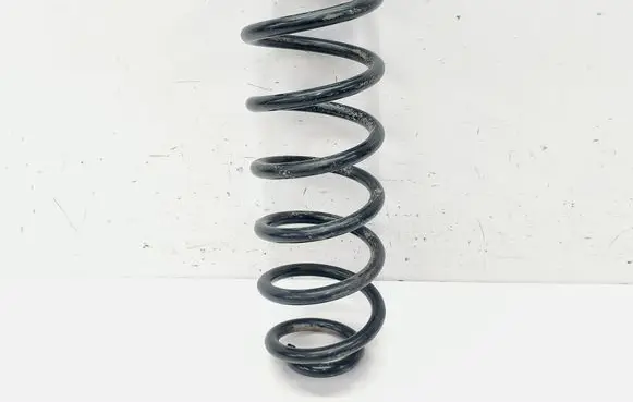 Rear coil spring
