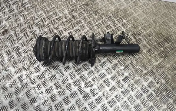 Renault Scenic E-Tech V Front shock absorber/damper 543026186R