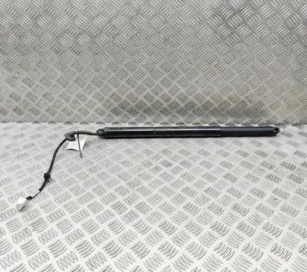 Fisker Ocean Tailgate/trunk strut/damper FM2955210009A