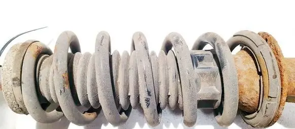 Rear coil spring