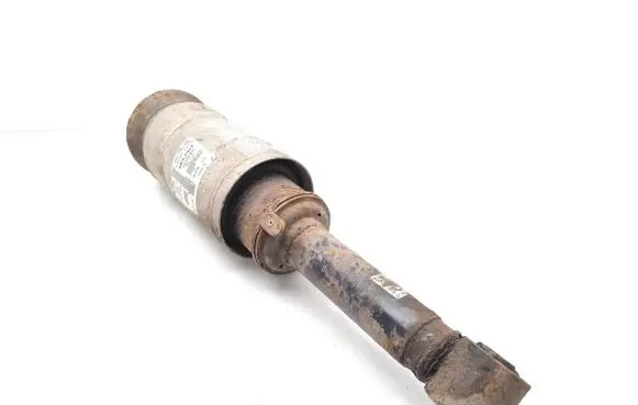 Land Rover Range Rover Sport L320 Air suspension front shock absorber 22238305