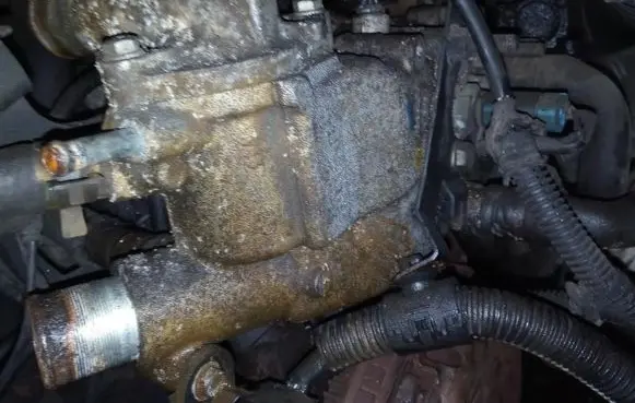 Peugeot 206 Engine coolant pipe/hose 9629038180