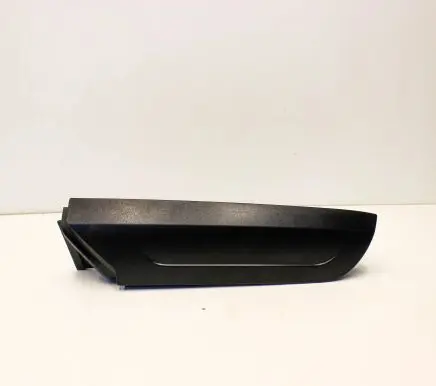 Rear/tail light trim molding