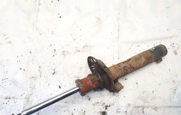 Volkswagen Golf V Front shock absorber/damper