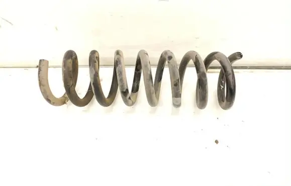 Rear coil spring