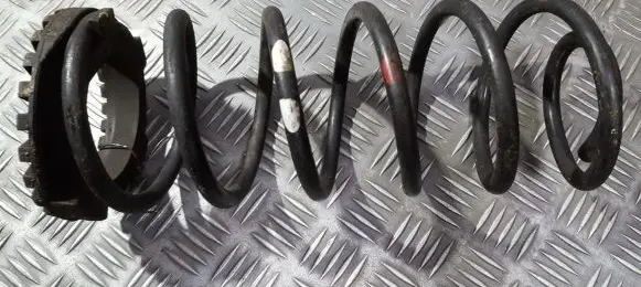 Rear coil spring