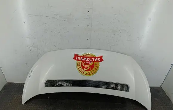 Fiat Scudo Engine bonnet/hood 249