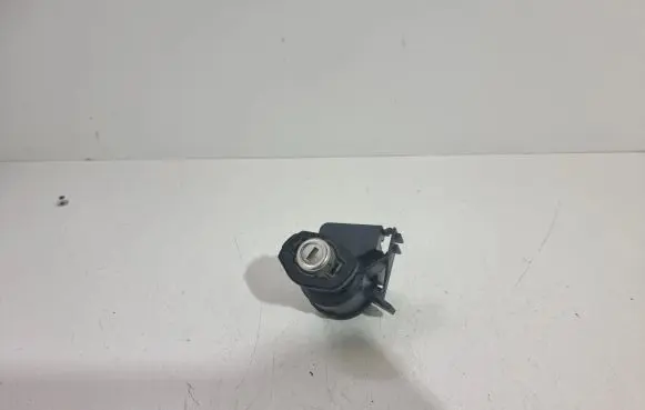 BMW 3 E92 E93 Tailgate exterior lock 51247167321