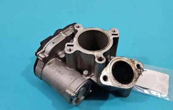 EGR valve
