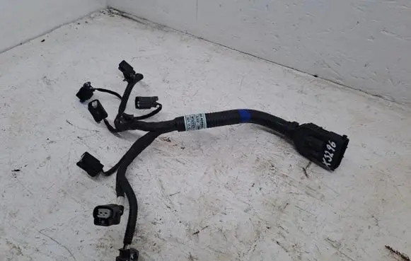 Hyundai Tucson IV NX4 Other wiring loom 9162200002