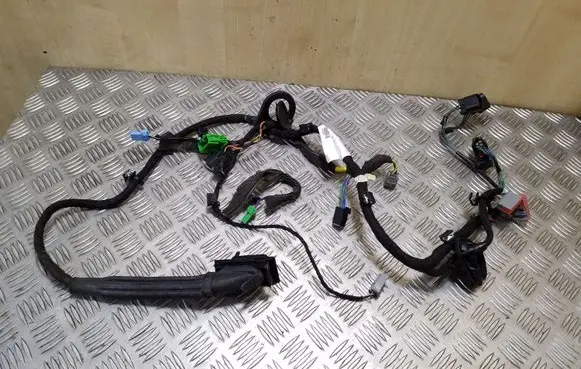 Front door wiring loom