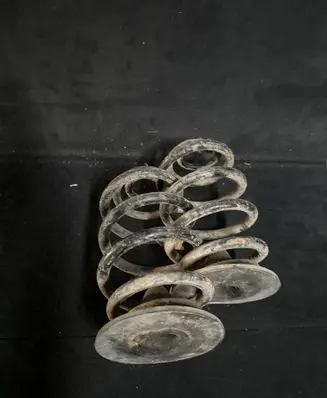 Rear coil spring