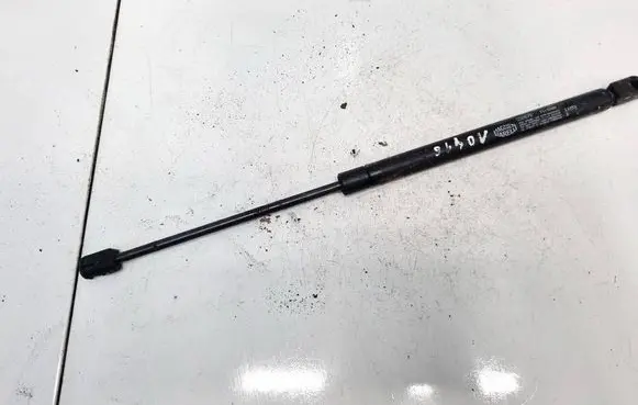Tailgate/trunk strut/damper