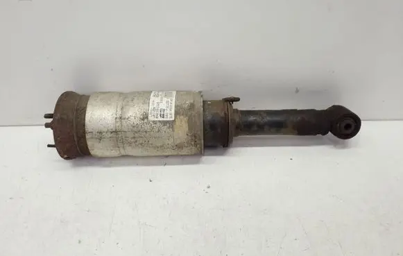 Land Rover Range Rover Sport L320 Front air suspension shock absorber 22241478 RNB501320 22230998
