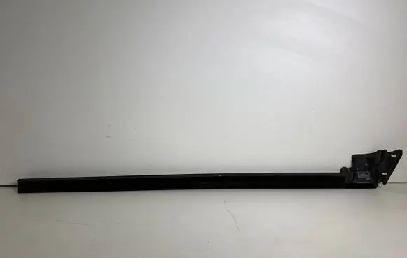 Ford Mustang VI Front door glass trim molding FR3B6321434AG