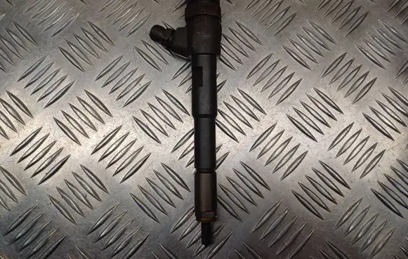 Renault Kangoo II Fuel injector 0445110485 H8201108033