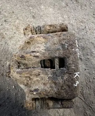 Rear brake caliper