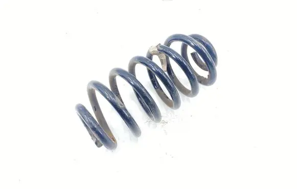 Opel Mokka X Rear coil spring 95107103