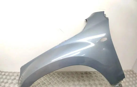 Suzuki Grand Vitara II Fender