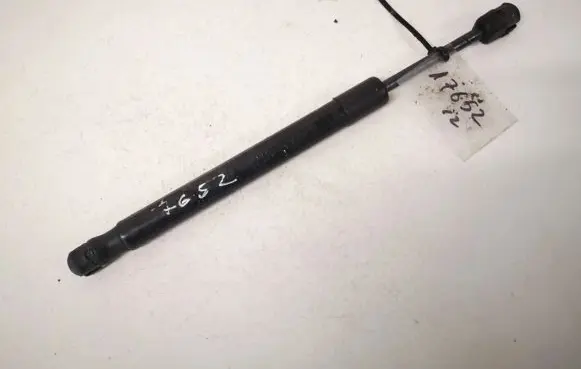 Tailgate/trunk strut/damper