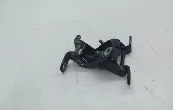 Nissan X-Trail T31 Rear door hinge set 