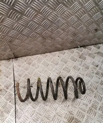 Volkswagen PASSAT B7 Rear coil spring