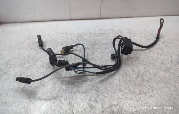 BMW X4 F26 Glow plug wires 10004769