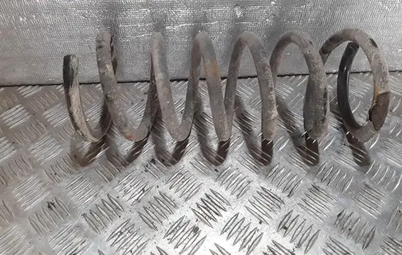 Ford S-MAX Rear coil spring