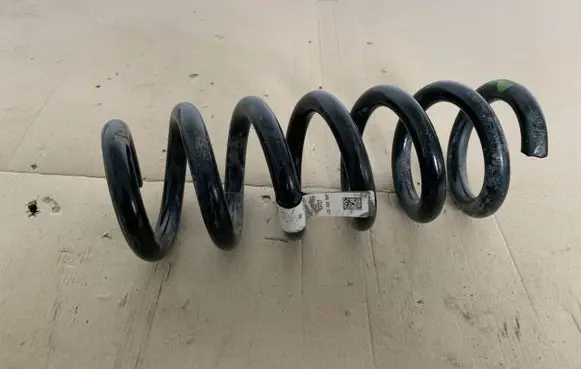 Ford Mustang V Rear coil spring