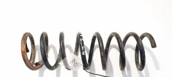 Ford Focus C-MAX Rear coil spring
