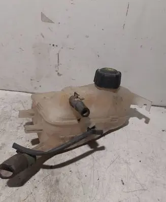 Renault Scenic III - Grand scenic III Coolant expansion tank/reservoir 217100005R
