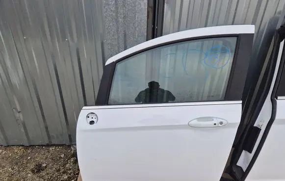 Ford B-MAX Front door 