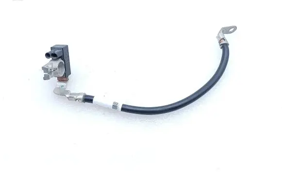 Mercedes-Benz GLE (W166 - C292) Negative earth cable (battery) A1669055901