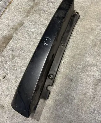 Rear/tail light trim molding
