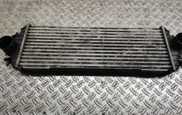 Renault Trafic II (X83) Intercooler radiator 7700312903 91166035 868926Q