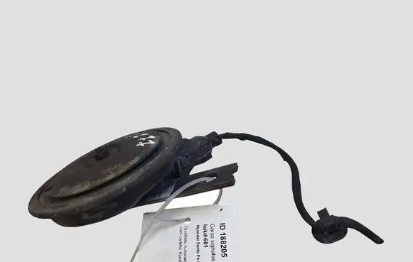 Hyundai Santa Fe Horn signal