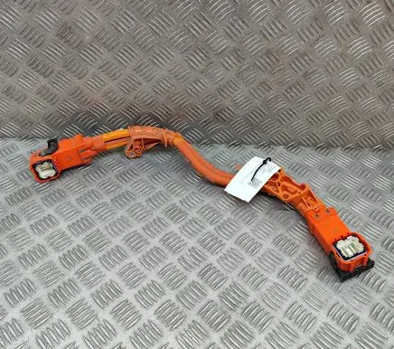 Tesla Model Y Other wiring loom 110900000D