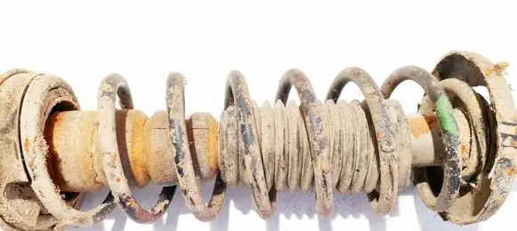 Rear coil spring