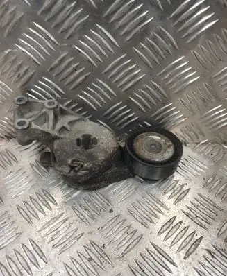 Audi A3 S3 8L Generator/alternator belt tensioner 06F903313