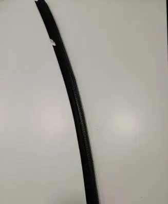 Dodge Charger Rubber seal rear door window/glass 